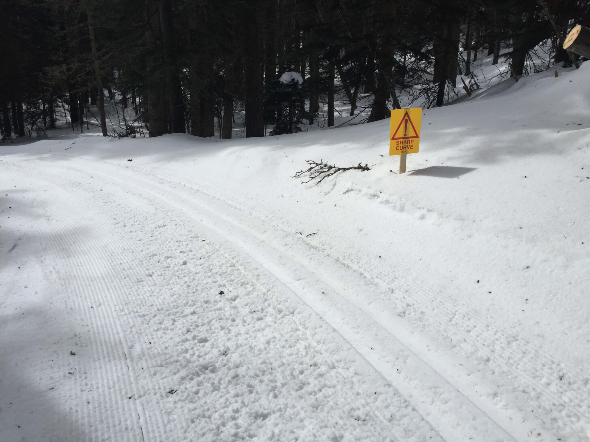 Sandia Trails Improvement Project – Sandia Nordic Ski Club